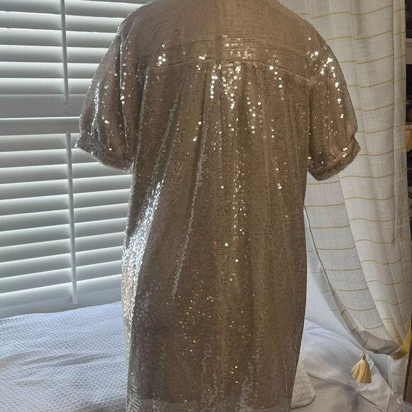 Sequined Dress - Every Brand size XS - Fits like a medium - Picture 4 of 6